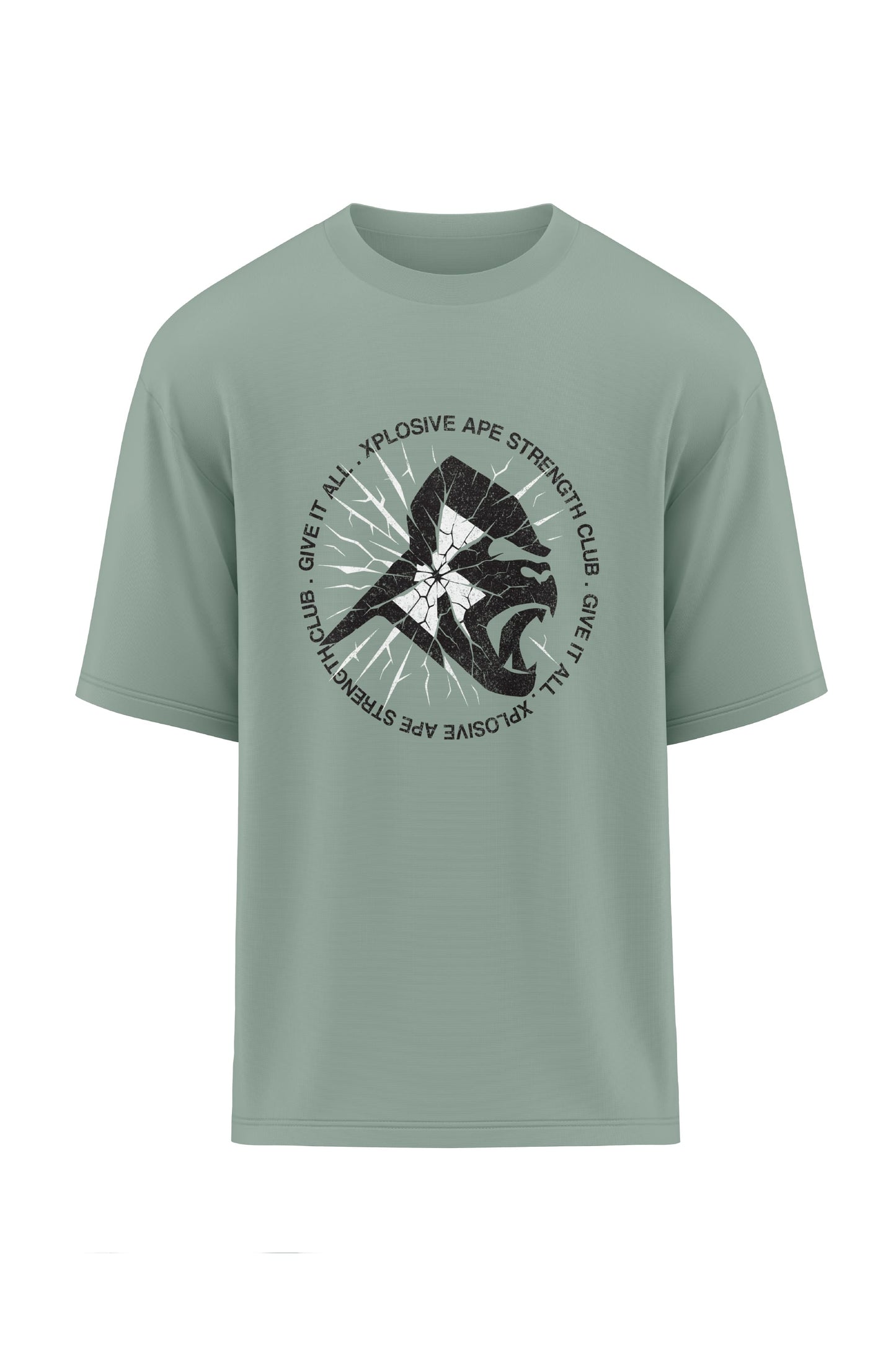 XAPE Shattered Oversized Tee - Sage