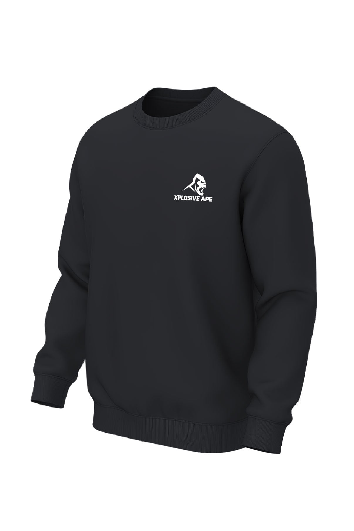XAPE Futuristic V2 Sweatshirt - Black