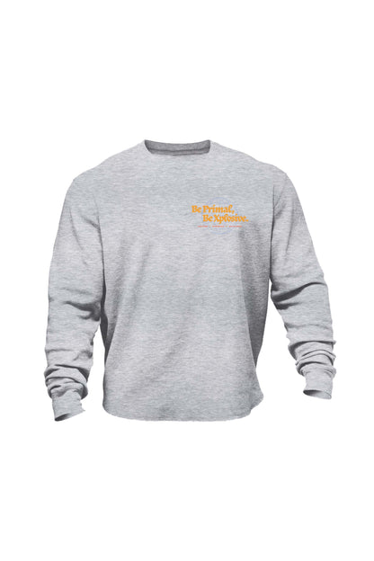 XAPE Primal Globe V5 Sweatshirt - Grey Marl