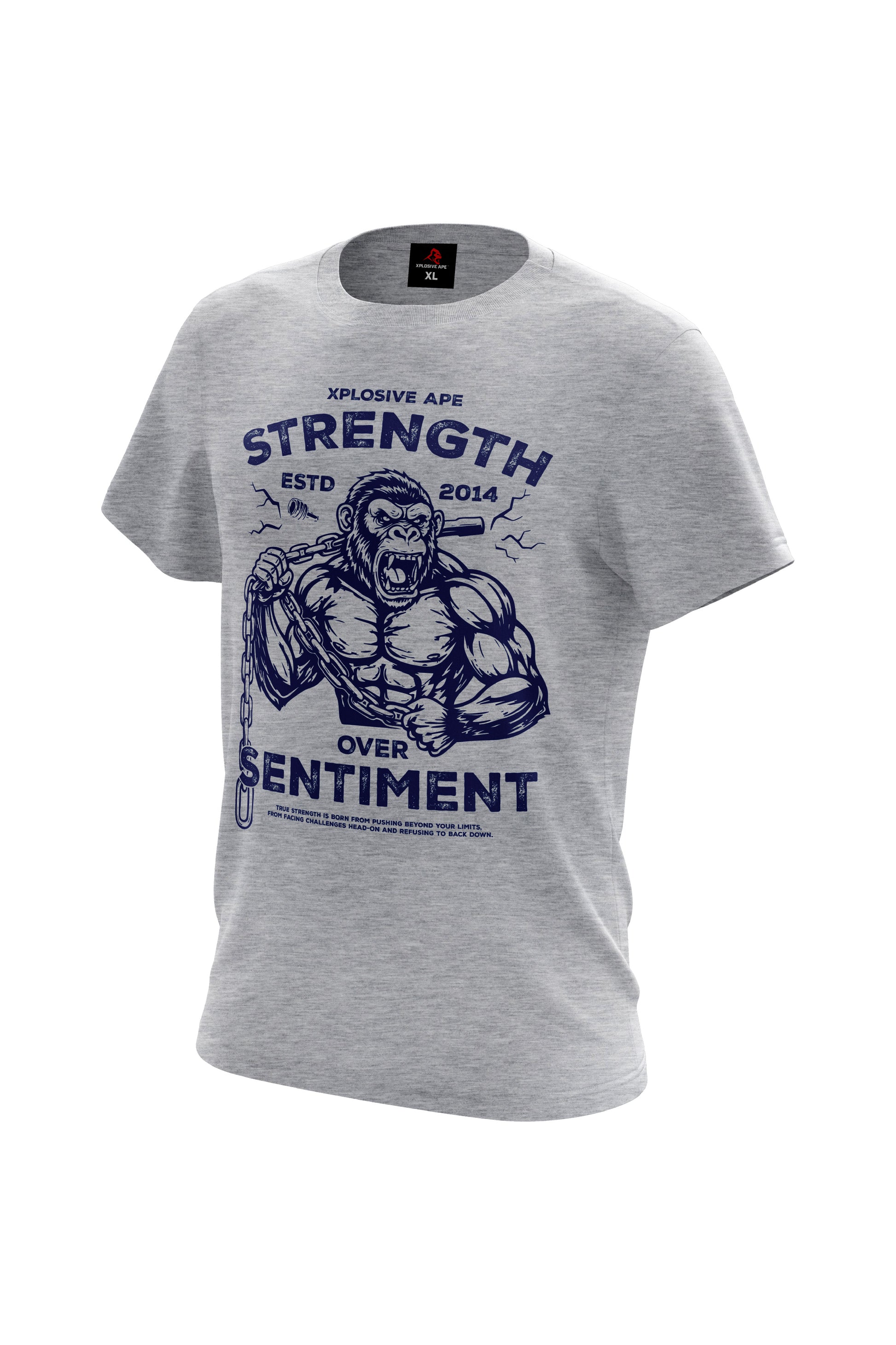 XAPE Strength Over Sentiment Hoodie & Tee Combo - Sports Grey