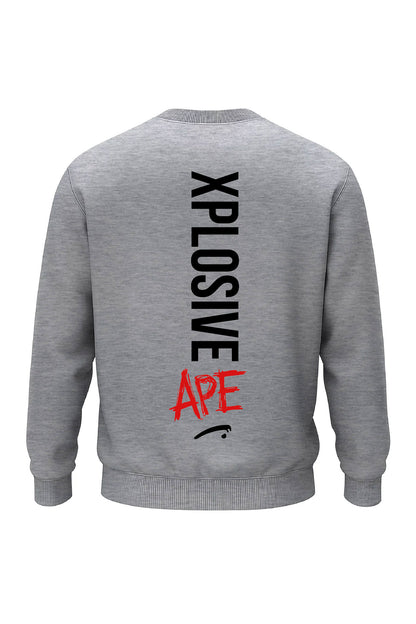 XAPE Graffiti V2 Sweatshirt - Sports Grey