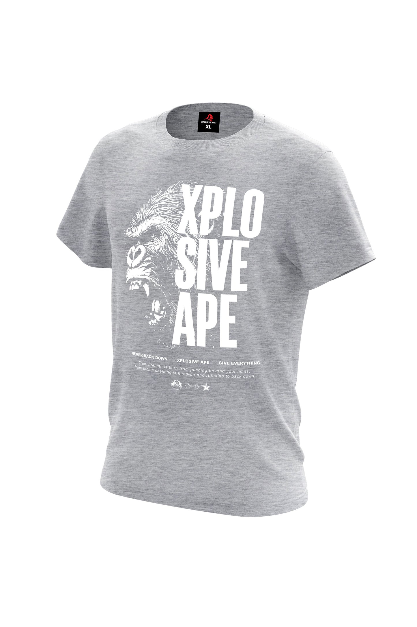 XAPE Vanguard V2 Tee - Grey