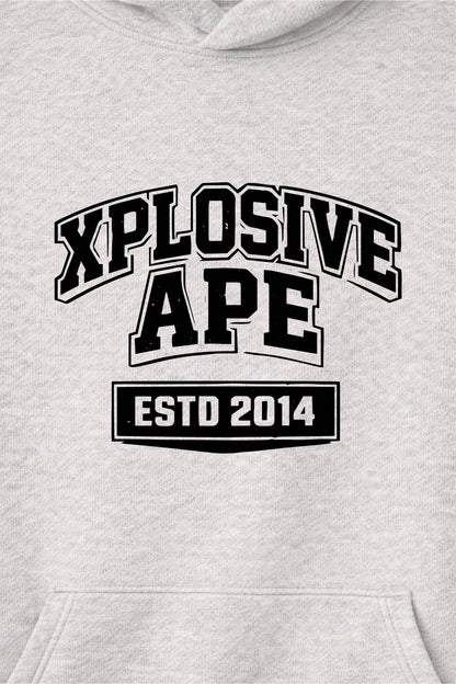 XAPE Classic Block Raglan Hoodie - Oatmeal Heather/Black